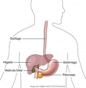 All About Pancreatic Cancer Oncolink
