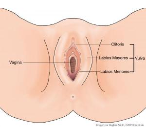 Herida en el clitoris