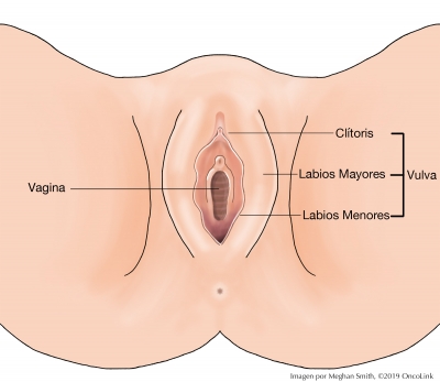 All About Vaginal Cancer Oncolink