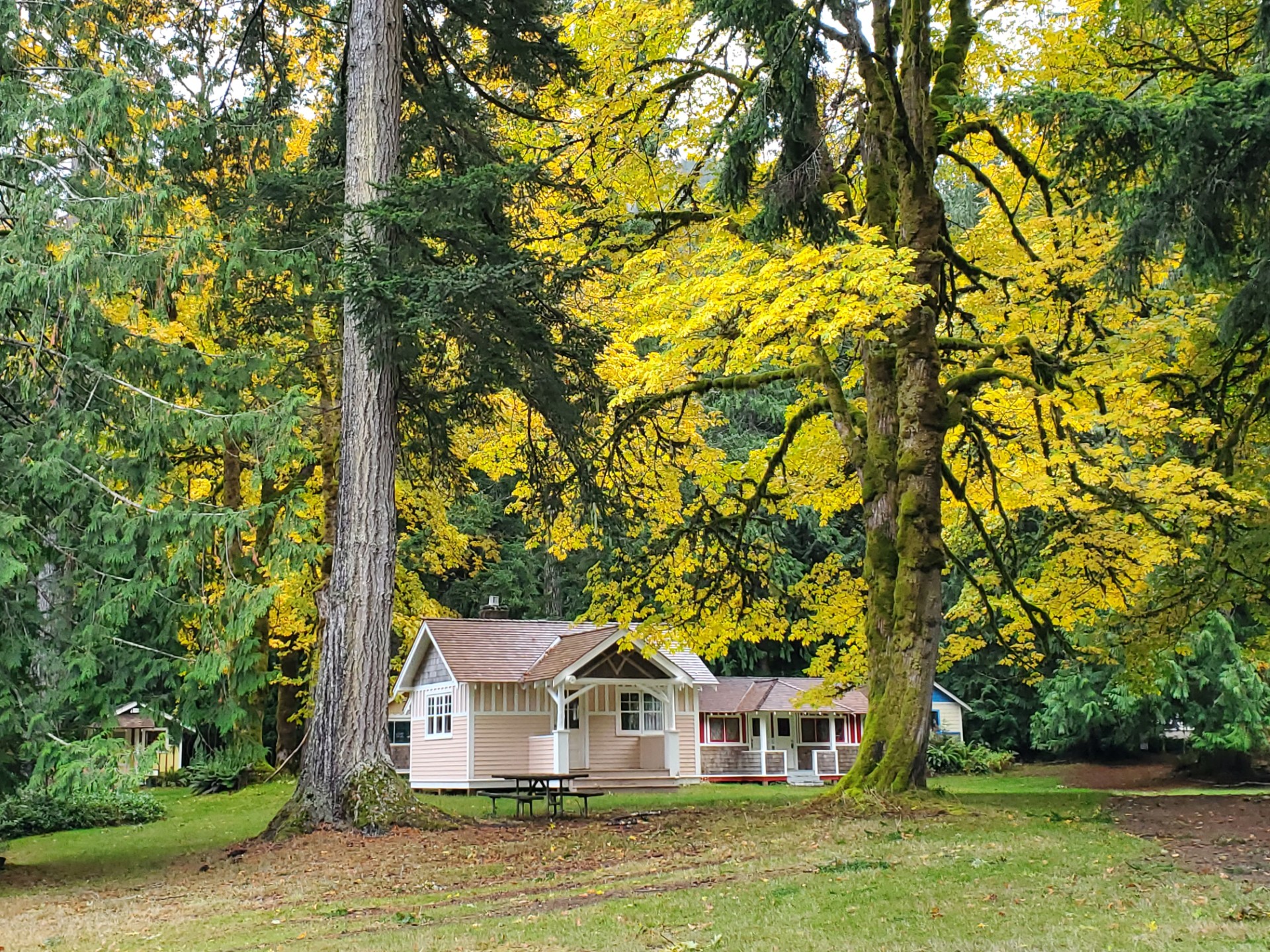 A house in a wooded area.